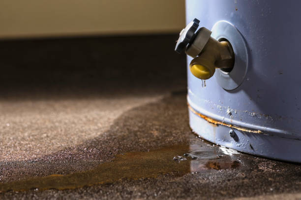 Best Fire Damage Restoration  in Mayo, MD