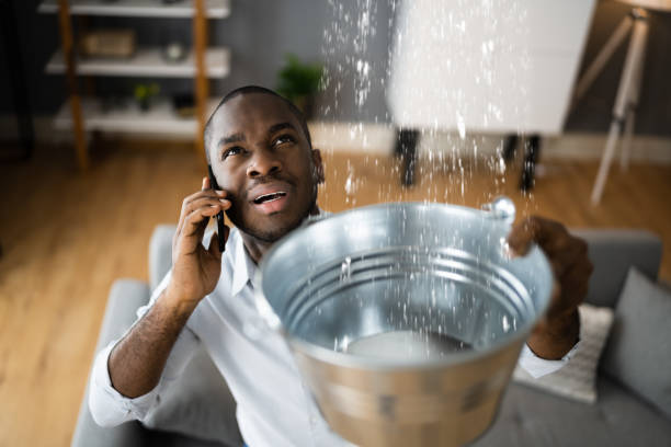 Best Flood restoration services  in Mayo, MD