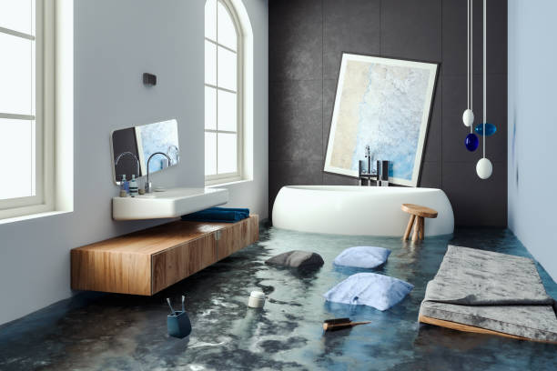 Best Water damage contractors near me  in Mayo, MD