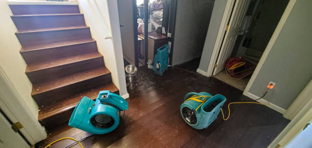 Best Basement water damage restoration  in Mayo, MD