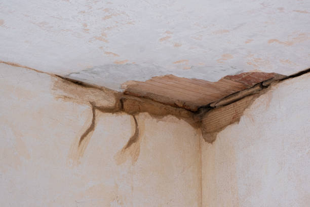 Best Water damage restoration near me  in Mayo, MD