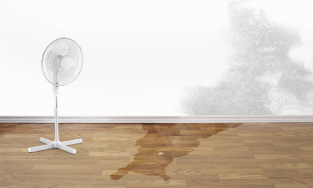 Best Commercial water damage restoration  in Mayo, MD