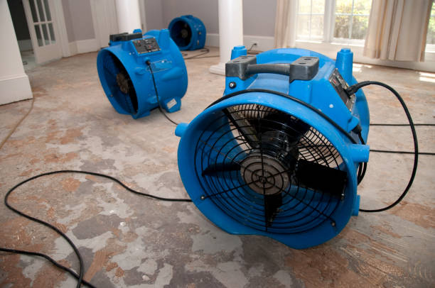 Best Flood damage cleanup  in Mayo, MD