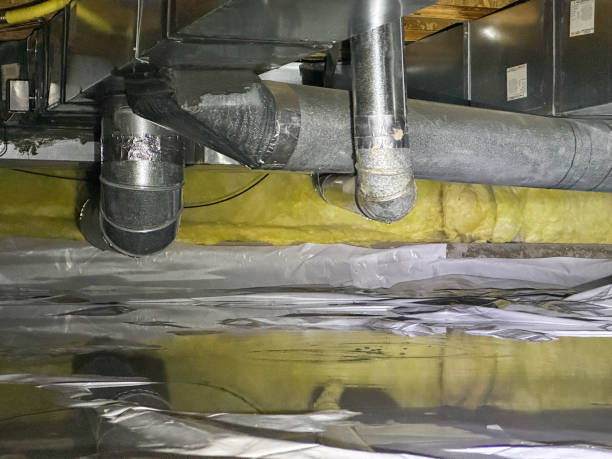 Best Water damage contractors near me  in Mayo, MD