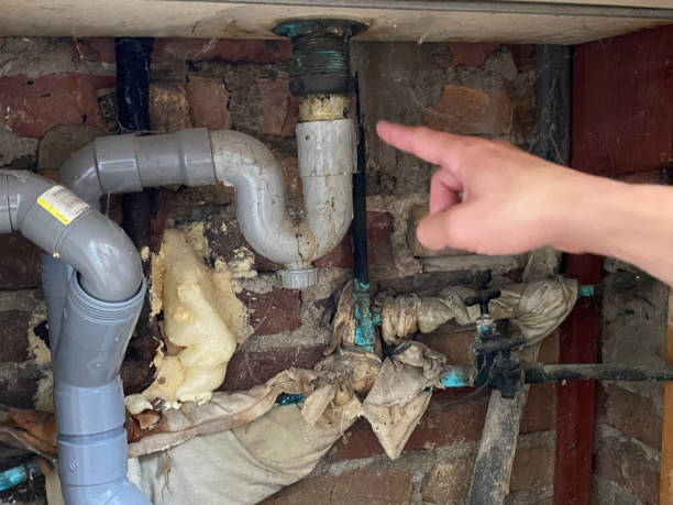 Best Flooded house restoration  in Mayo, MD