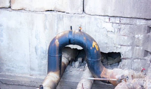 Best Professional water damage repair  in Mayo, MD